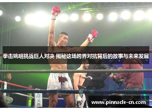 拳击姚明挑战巨人对决 揭秘这场跨界对抗背后的故事与未来发展