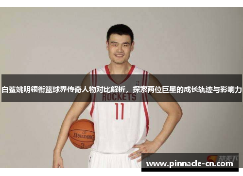 白鲨姚明领衔篮球界传奇人物对比解析，探索两位巨星的成长轨迹与影响力